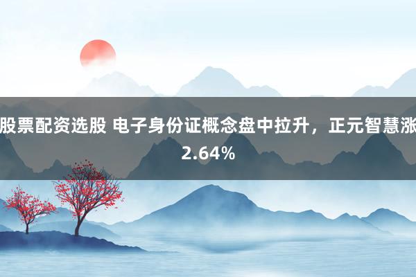 股票配资选股 电子身份证概念盘中拉升，正元智慧涨2.64%