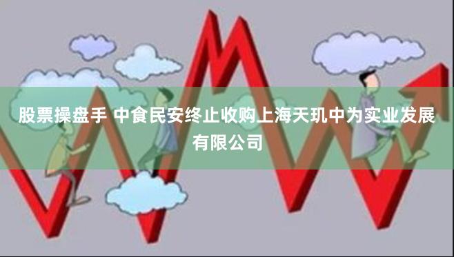 股票操盘手 中食民安终止收购上海天玑中为实业发展有限公司