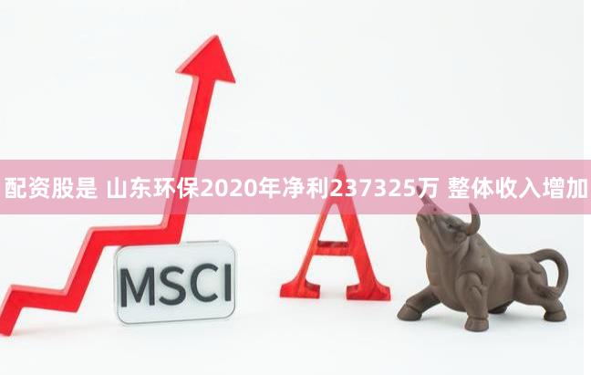 配资股是 山东环保2020年净利237325万 整体收入增加