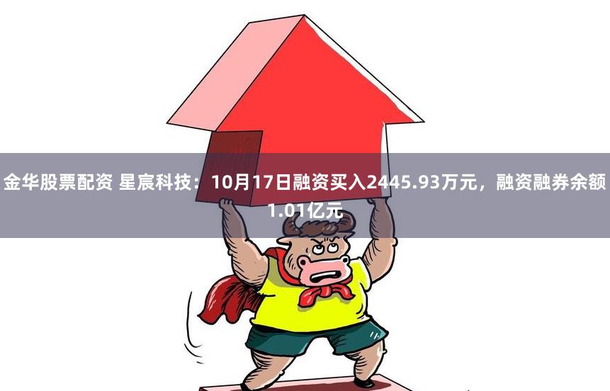 金华股票配资 星宸科技：10月17日融资买入2445.93万元，融资融券余额1.01亿元