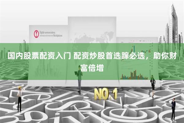 国内股票配资入门 配资炒股首选蹿必选，助你财富倍增